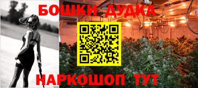 мдпв Лесосибирск