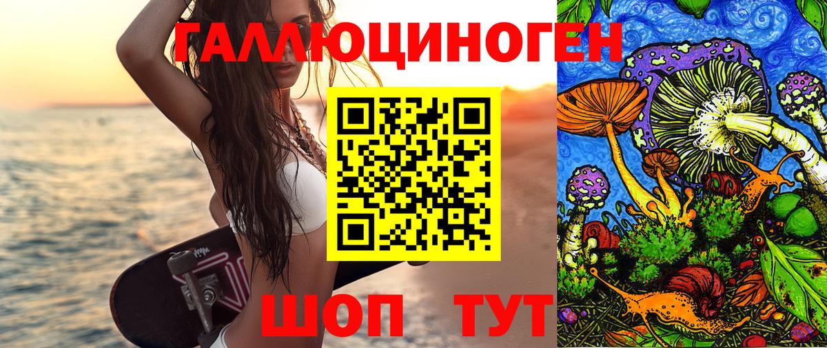 Псилоцибиновые грибы Анжеро-Судженск