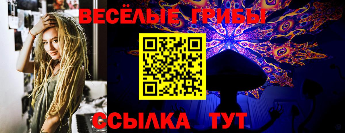Галлюциногенные грибы Psilocybe Анжеро-Судженск